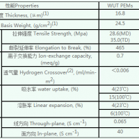 复合膜（Composite PEM）