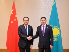 倪真与哈萨克斯坦萨卡基金董事长努尔兰·扎库波夫会谈！深化氢能领域合作